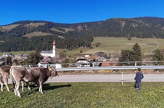 Hoferhof - Liste Photo