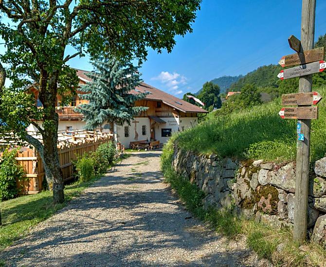 Il noto sentiero Keschtnweg passa anche per lo Zunerhof. 