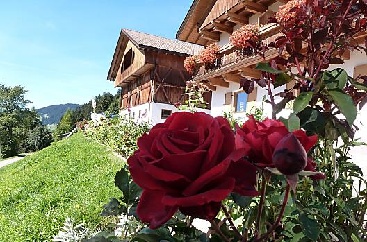 Oberpappinghof - Liste Photo