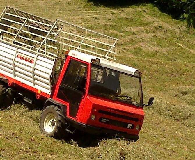 Il raccolto di fieno viene portato a casa