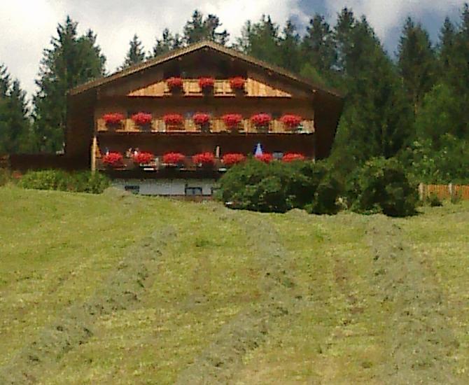 Gadenhof - Bildergalerie Photo