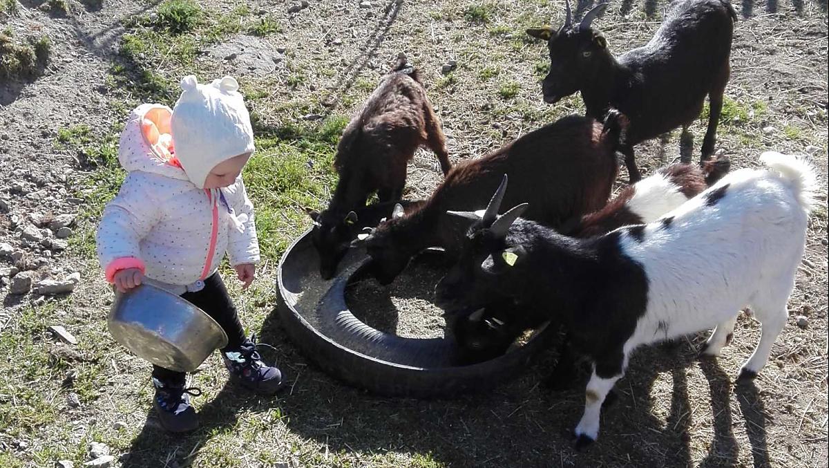 Lilly nella sua attività preferita