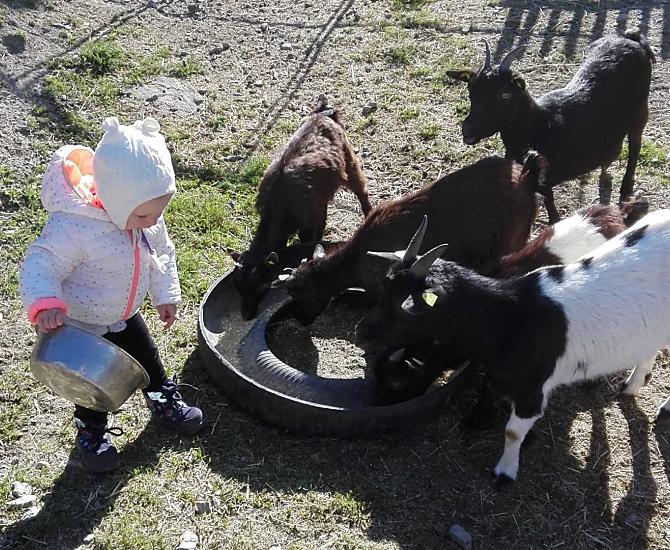 Lilly nella sua attività preferita