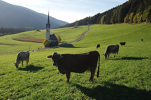Feldsagerhof - Liste Photo