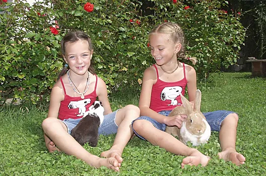 Rimmele-Hof - Liste Photo