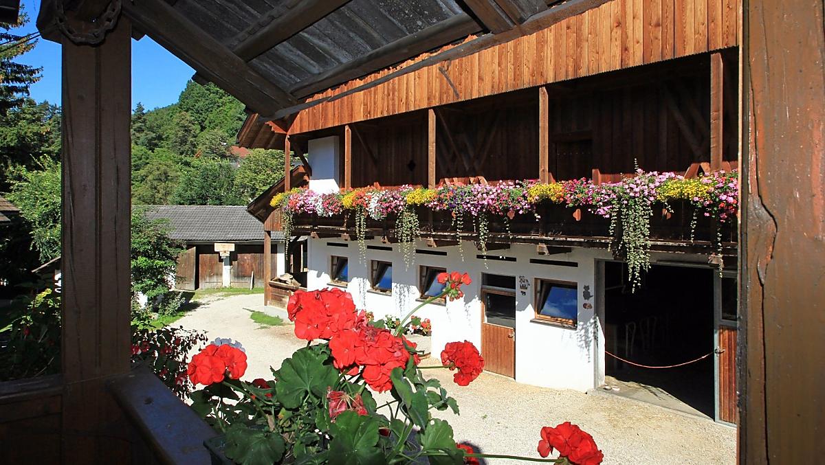 Grünbacherhof - Bildergalerie Photo