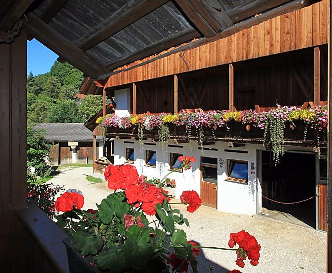 Grünbacherhof - Bildergalerie Photo
