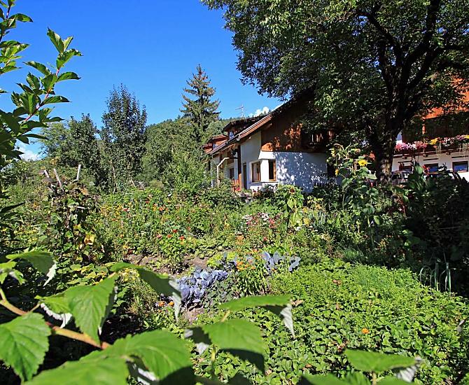Grünbacherhof - Bildergalerie Photo