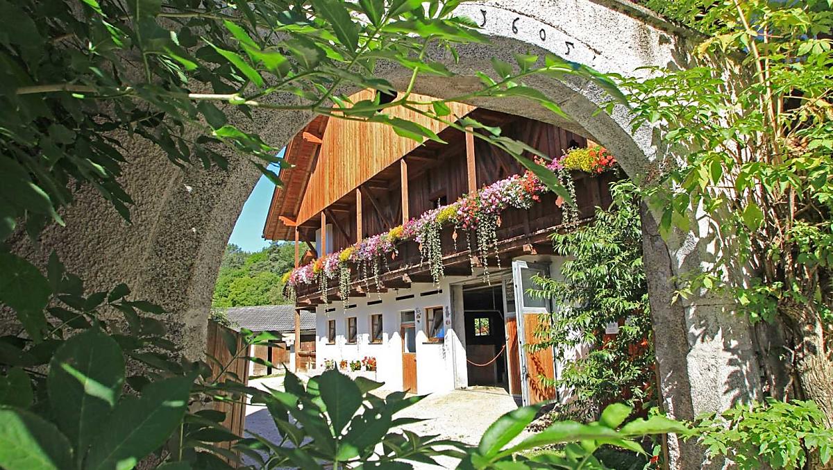Grünbacherhof - Bildergalerie Photo
