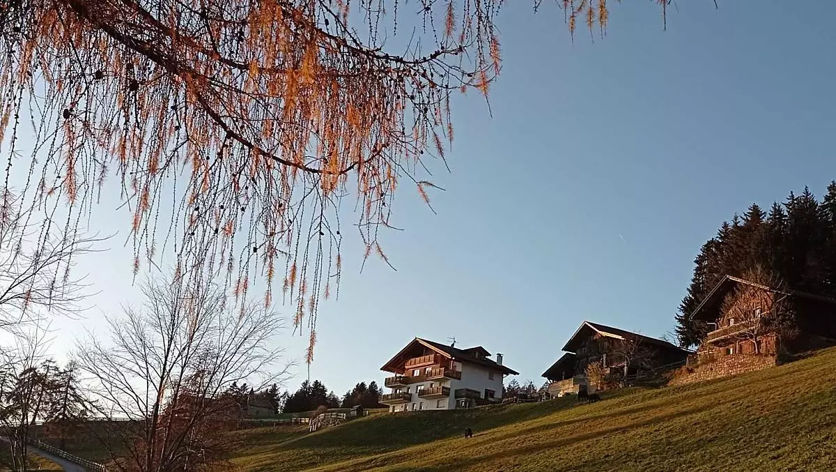 Mandlerhof - Bildergalerie Photo