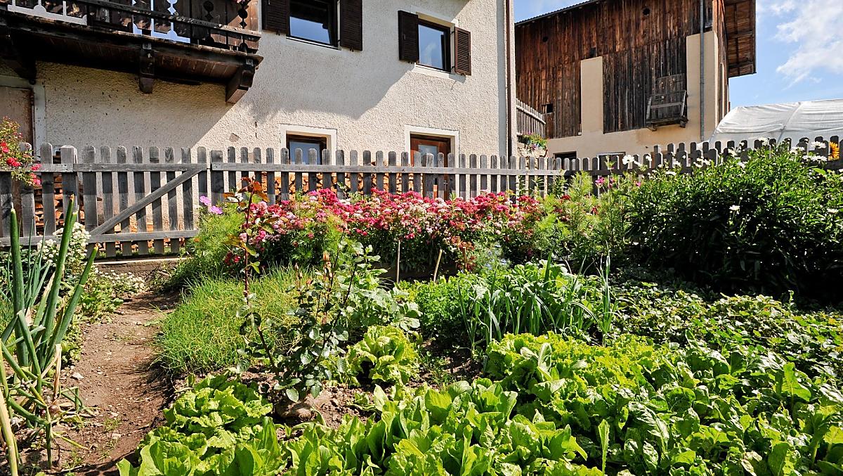 Woeserhof - Bildergalerie Photo