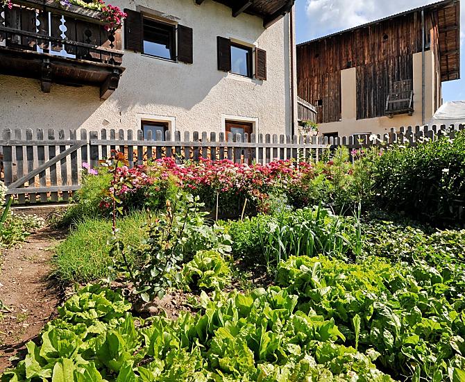 Woeserhof - Bildergalerie Photo