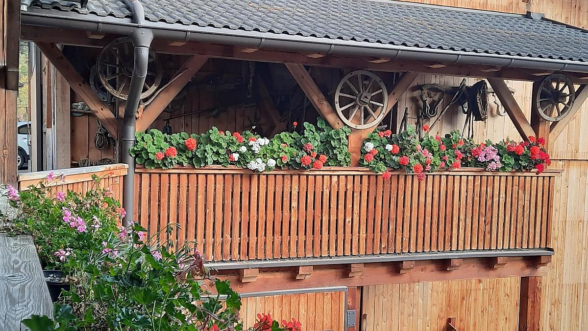 Gamperhof - Bildergalerie Photo