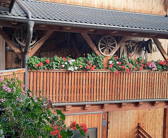 Gamperhof - Bildergalerie Photo