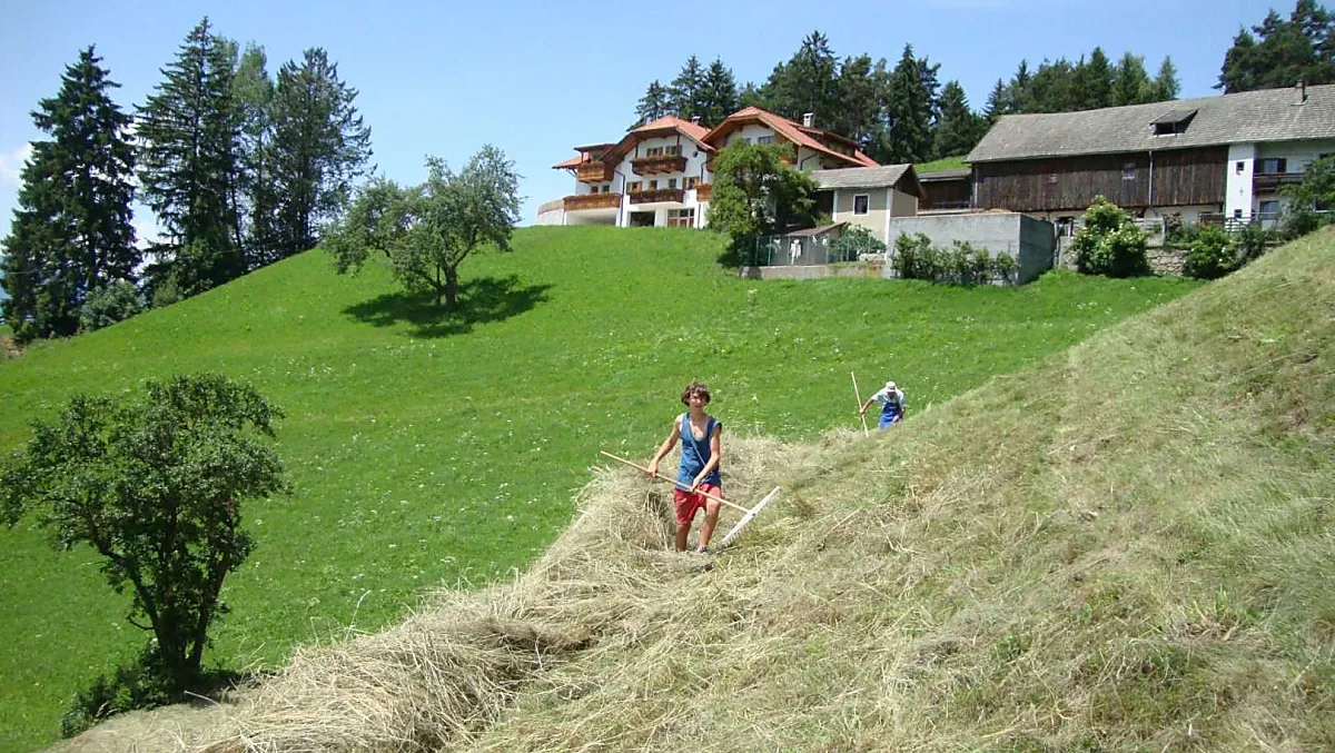Thalerhof - Bildergalerie Photo