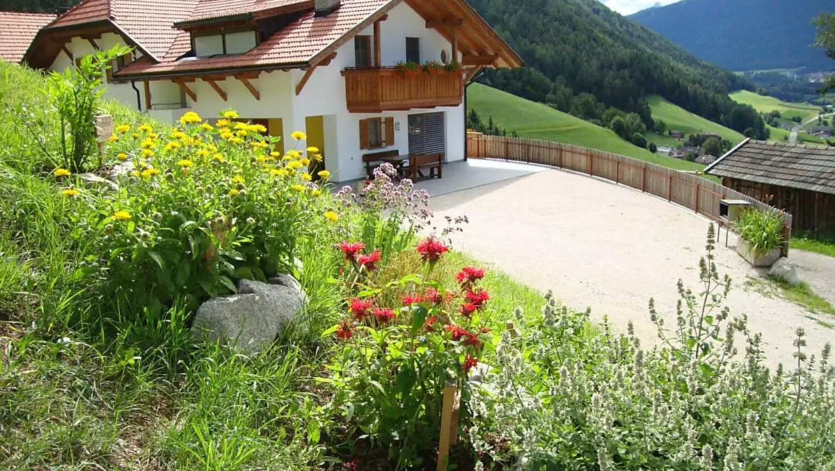Thalerhof - Bildergalerie Photo