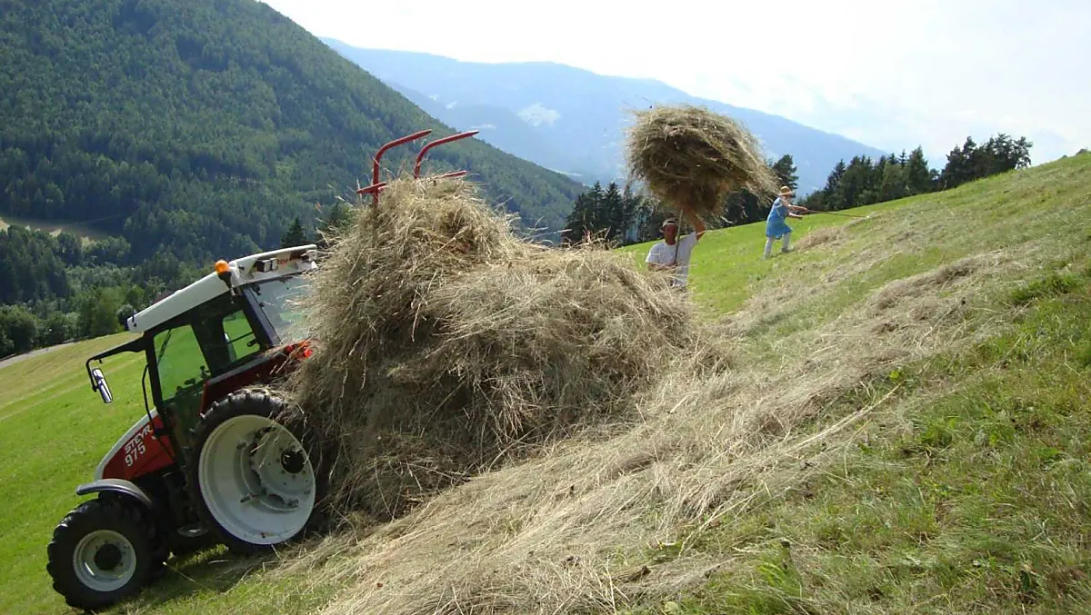 Thalerhof - Bildergalerie Photo