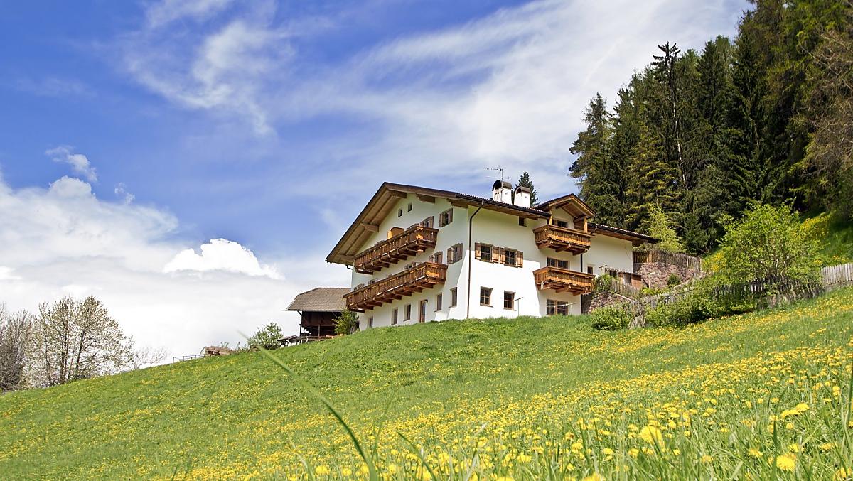 Il Grunserhof si trova ai margini della foresta ed è circondato da prati fioriti.