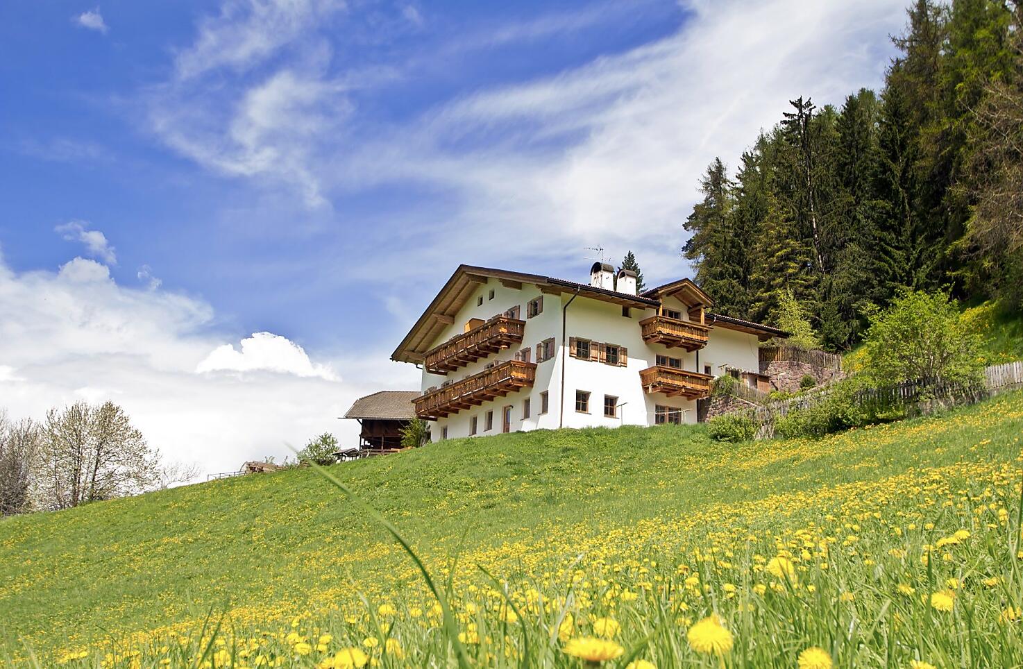 Il Grunserhof si trova ai margini della foresta ed è circondato da prati fioriti.