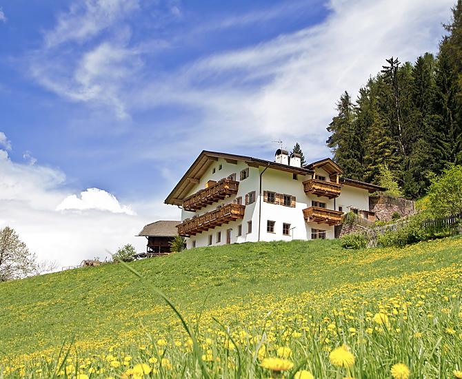 Il Grunserhof si trova ai margini della foresta ed è circondato da prati fioriti.