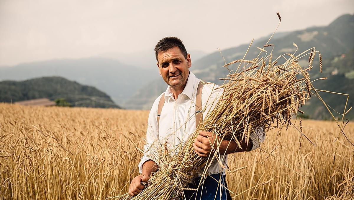 Nei nostri campi crescono farro e grano saraceno