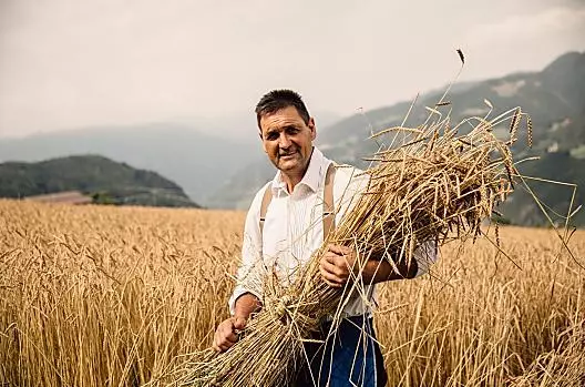 Nei nostri campi crescono farro e grano saraceno
