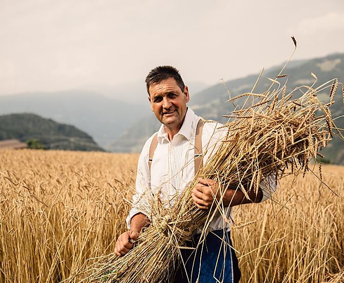 Nei nostri campi crescono farro e grano saraceno