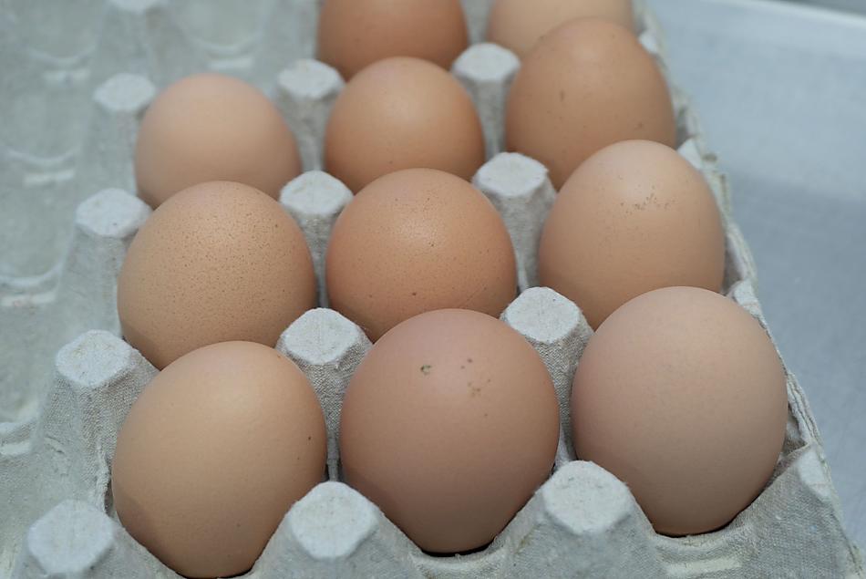 Eier