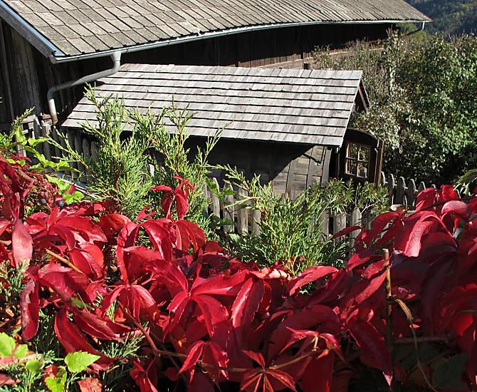 Gostnerhof - Bildergalerie Photo