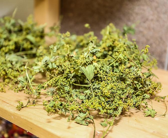 Infuso di nostra produzione