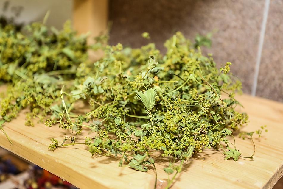 Infuso di nostra produzione