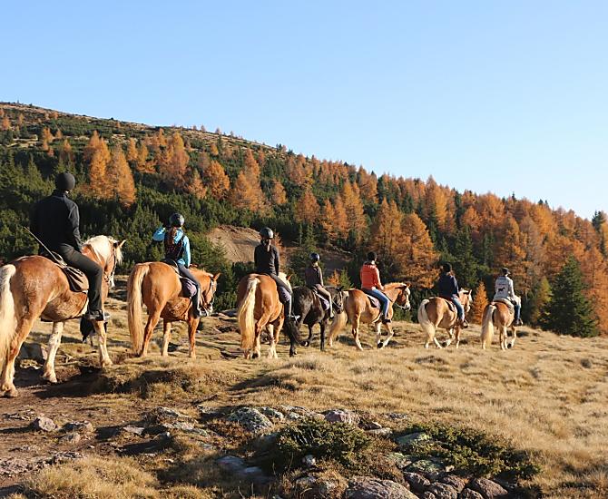 Oberfahrerhof - Bildergalerie Photo
