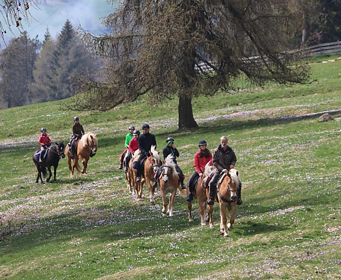 Oberfahrerhof - Bildergalerie Photo