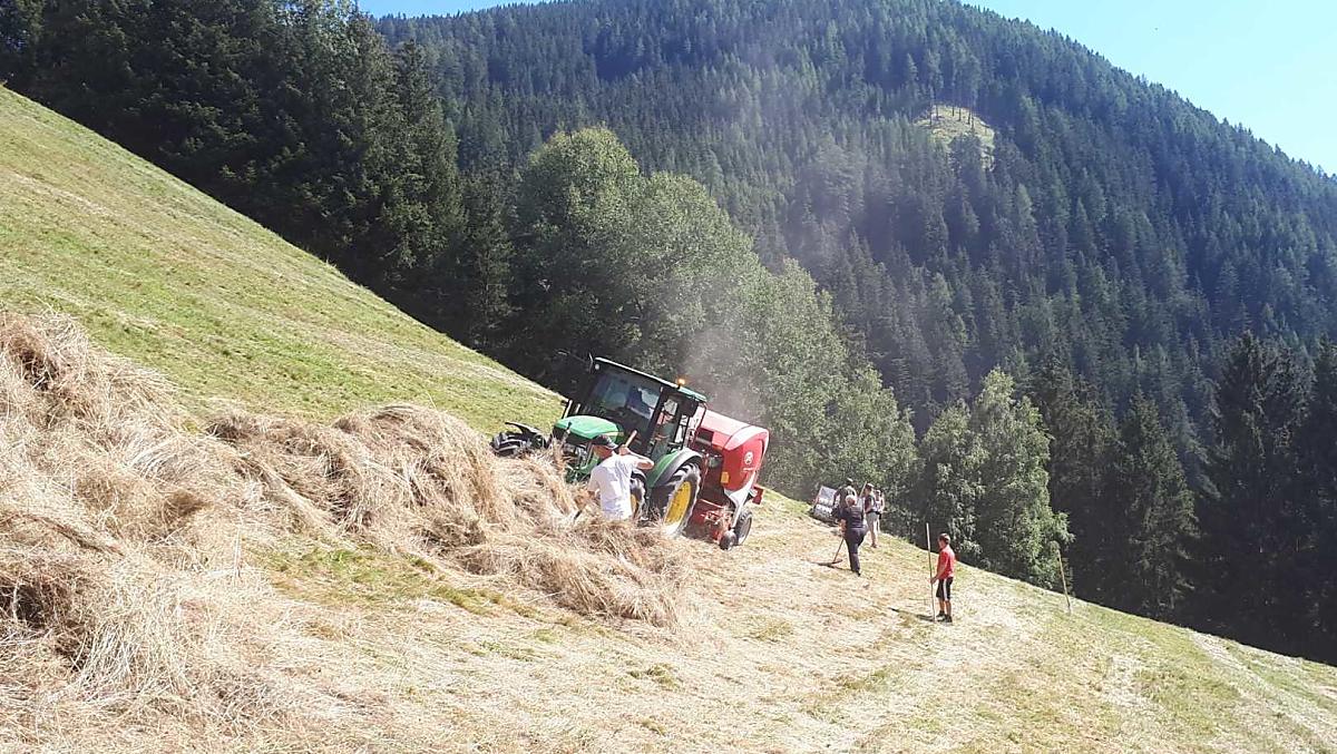 Lavoro con il fieno