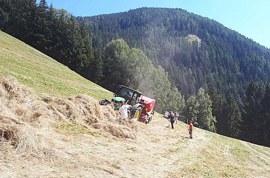 Lavoro con il fieno