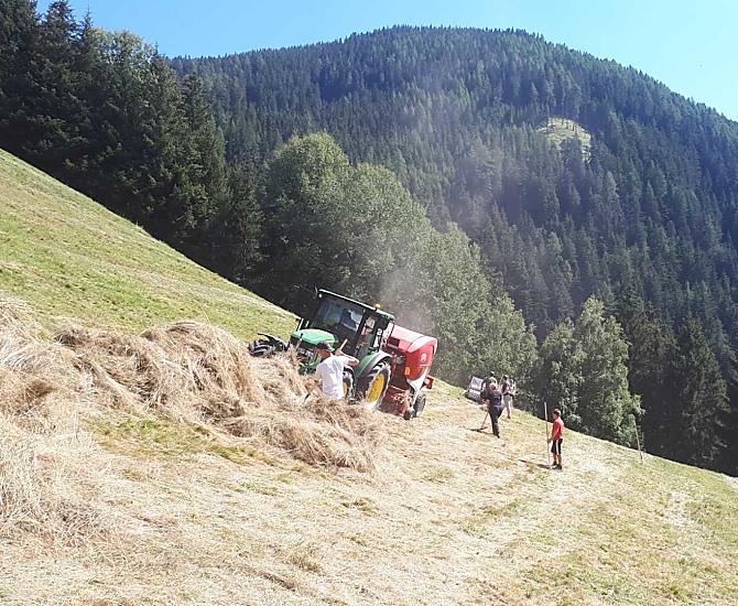 Lavoro con il fieno