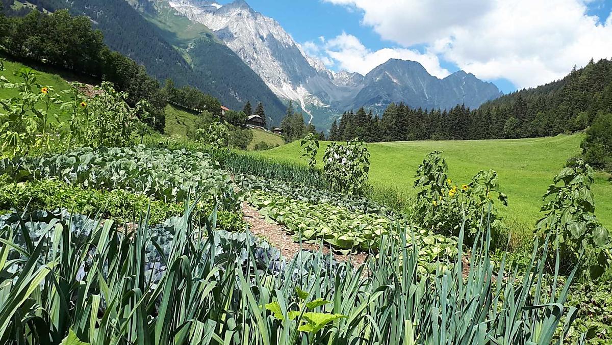 Il nostro campo!