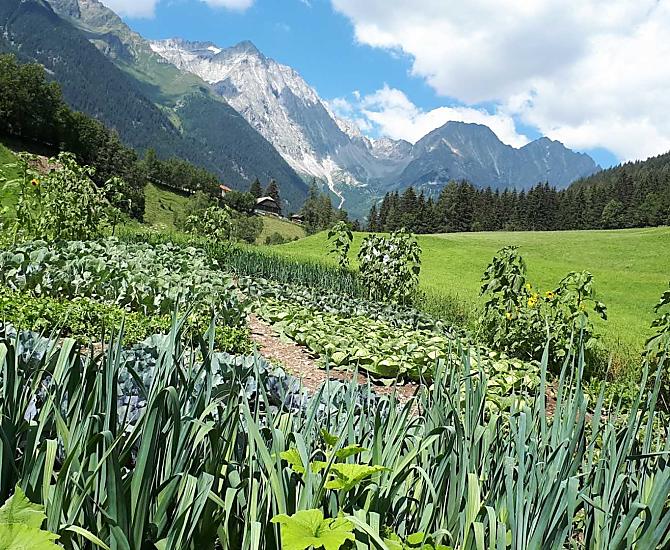 Il nostro campo!