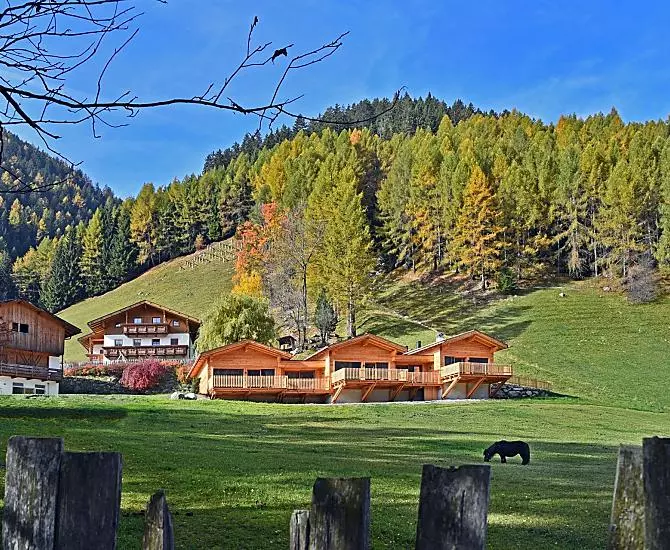 Leitnerhof - Bildergalerie Photo