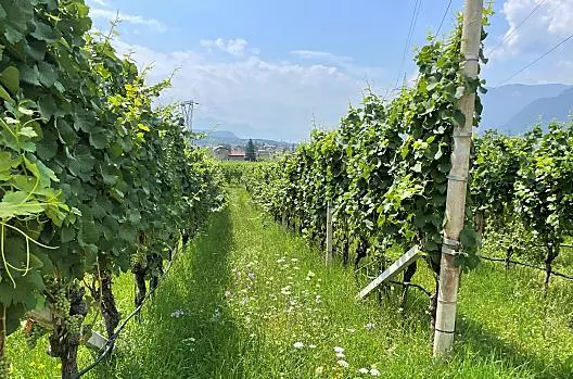 Bühel im Gschleier - Liste Photo