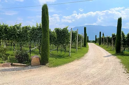 Bühel im Gschleier - Liste Photo