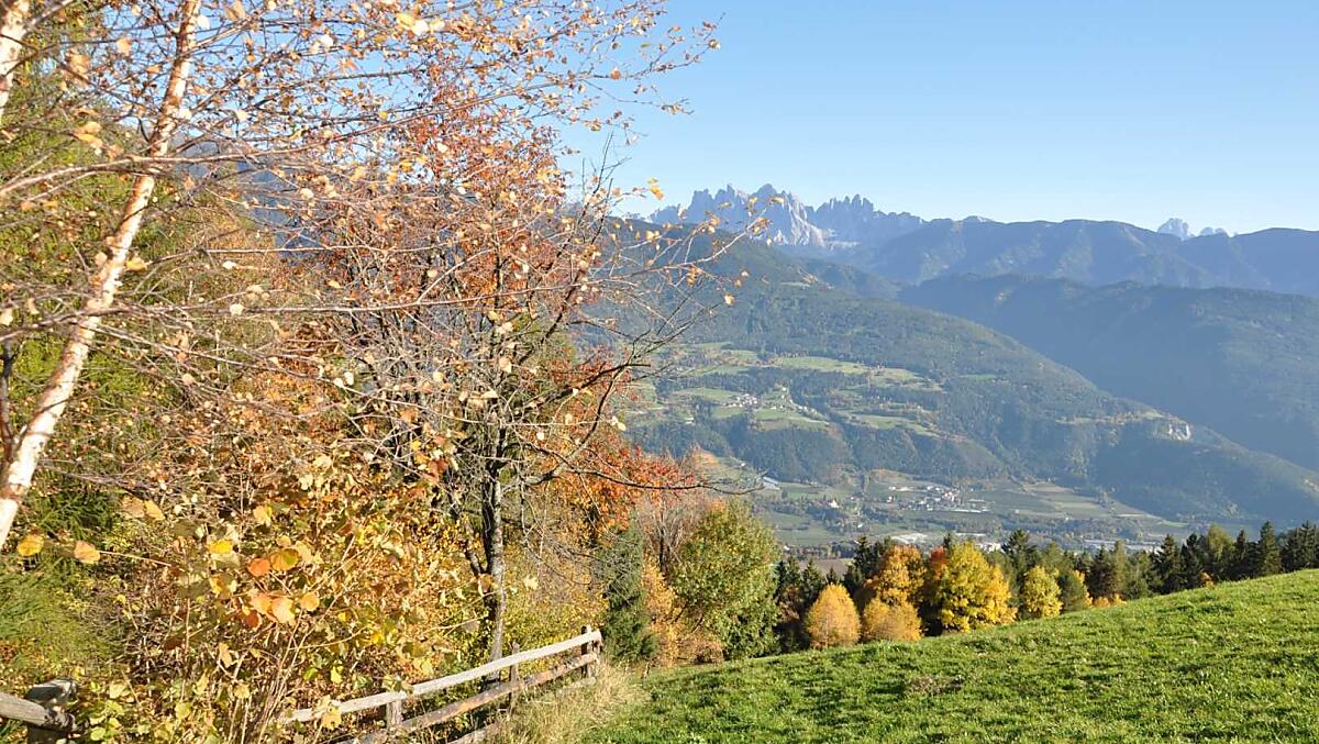 Feichterhof - Bildergalerie Photo