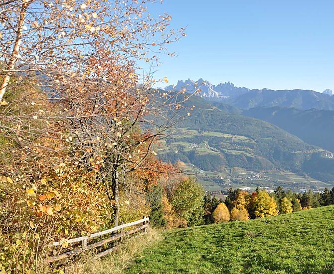 Feichterhof - Bildergalerie Photo