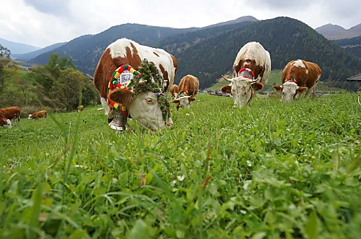Unterhabererhof - Liste Photo