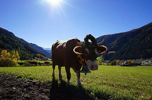 Unterhabererhof - Liste Photo