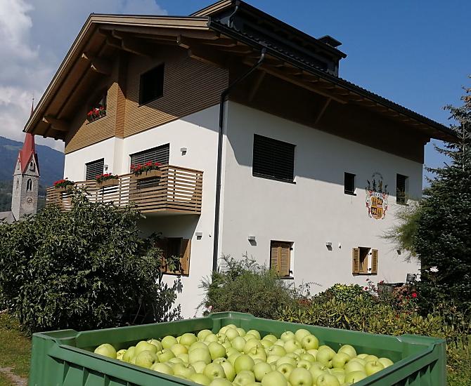 Raccolta di mele al Rumlhof