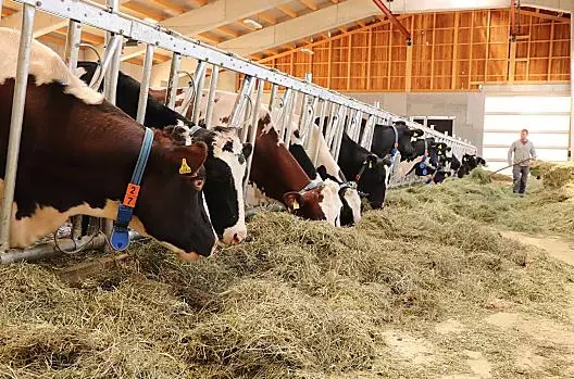 Alimentazione degli animali
