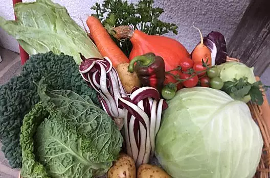 Raccolta di verdure per il Ringraziamento