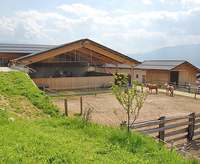 Reiterhof Grasspeinten - Bildergalerie Photo