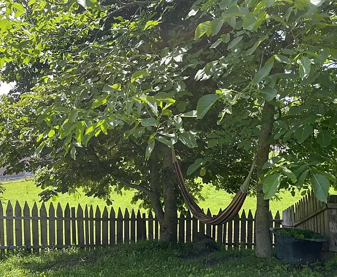Wieserhof - Bildergalerie Photo